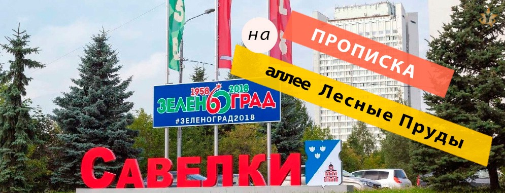 Постоянная регистрация на Лесных Прудах аллее Прописка на аллее Лесные Пруды
